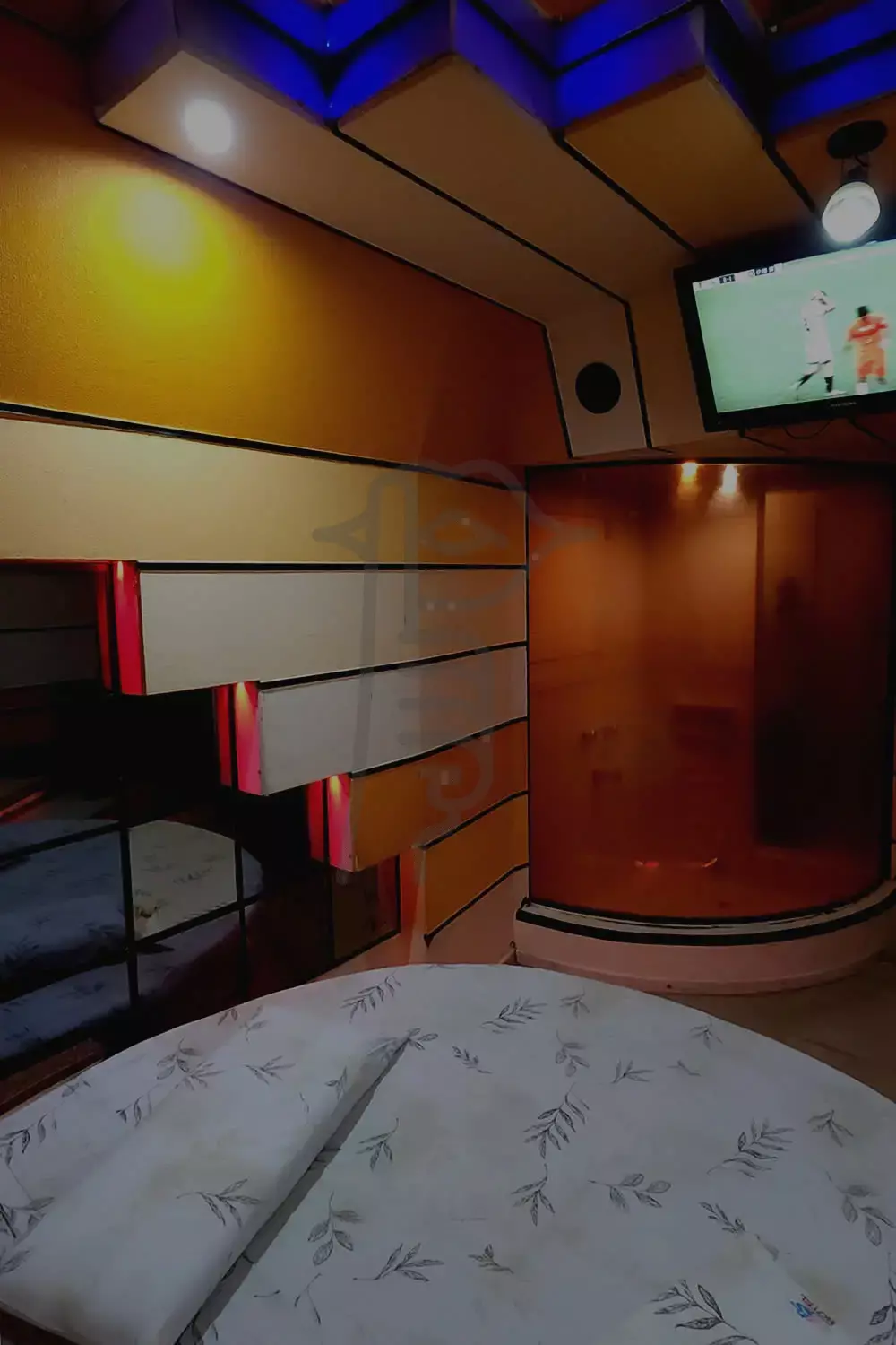 Contenido de Hotel Cats, foto o video 1